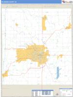 Delaware County, IN Wall Map Zip Code
