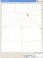 Cochran County, TX Wall Map