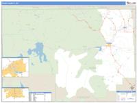 Park County, WY Wall Map Zip Code