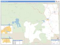 Park County, WY Wall Map