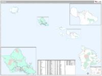 Hawaii  Wall Map Zip Code