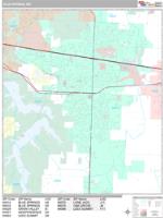 Blue Springs Wall Map Zip Code