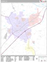 Salisbury Wall Map Zip Code