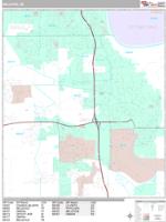 Bellevue Wall Map Zip Code