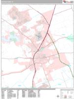 Georgetown  Wall Map Zip Code