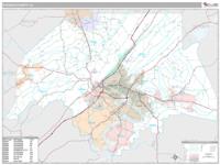 Etowah County, AL Wall Map Zip Code