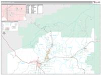 Delta County, CO Wall Map Zip Code