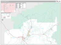 Delta County, CO Wall Map