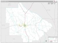 Bacon County, GA Wall Map Zip Code