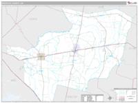Brantley County, GA Wall Map Zip Code