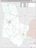 Tattnall County, GA Wall Map Zip Code