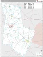 Tattnall County, GA Wall Map