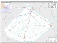 Telfair County, GA Wall Map Zip Code