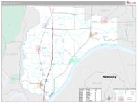 Pulaski County, IL Wall Map