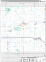 Ionia County, MI Wall Map