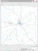 Neshoba County, MS Wall Map Zip Code