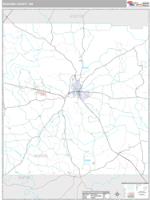 Neshoba County, MS Wall Map