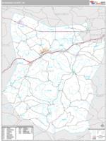 Schoharie County, NY Wall Map Zip Code
