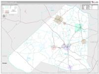 Barnwell County, SC Wall Map Zip Code