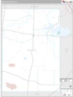 McMullen County, TX Wall Map Zip Code