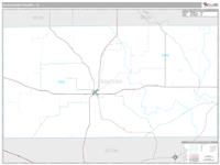 Schleicher County, TX Wall Map Zip Code