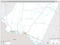 Starr County, TX Wall Map Zip Code