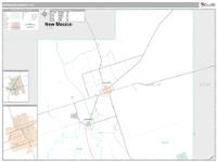 Winkler County, TX Wall Map