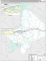 Cabell County, WV Wall Map