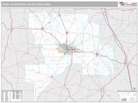 Albany Metro Area Wall Map