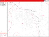 Conway Wall Map