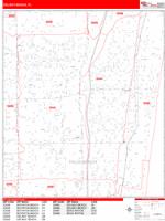 Delray Beach Wall Map