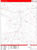Ellicott City Wall Map