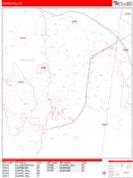Chapel Hill Wall Map