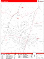 Rocky Mount Wall Map