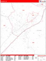 Salisbury Wall Map