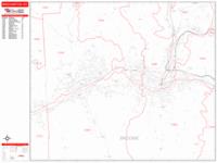 Binghamton Wall Map