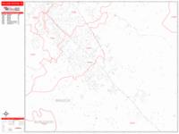 College Station Wall Map