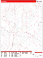 Bellevue Wall Map