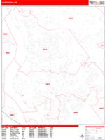 Sammamish Wall Map