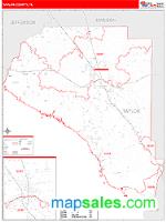 Taylor County, FL Wall Map Zip Code