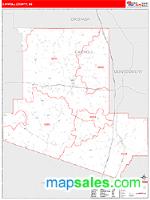 Carroll County, MS Wall Map Zip Code