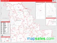 Madison County, NY Wall Map