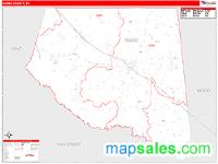Rains County, TX Wall Map Zip Code