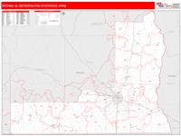 Dothan Metro Area Wall Map