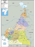 Cameroon Political Wall Map