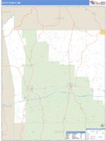 Scott County, MS Wall Map Zip Code