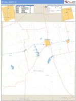Mitchell County, TX Wall Map