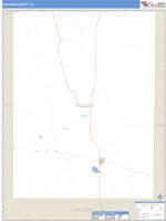 Reagan County, TX Wall Map Zip Code