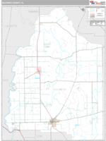 Gilchrist County, FL Wall Map Zip Code