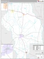 Berrien County, GA Wall Map Zip Code